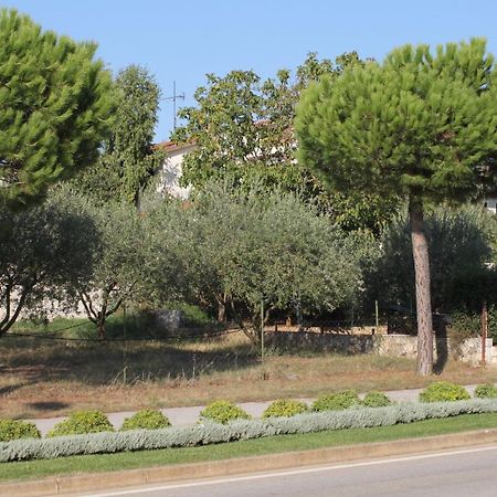 Apartments And Rooms With Parking Space Rovinj - 7170 Exteriör bild