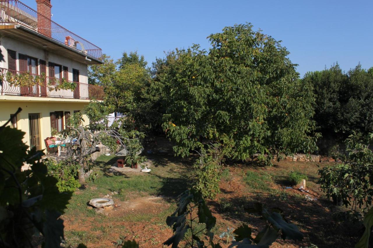Apartments And Rooms With Parking Space Rovinj - 7170 Exteriör bild